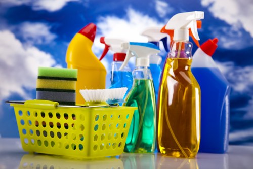 Kitchen and bathroom cleaning service in a Soho home