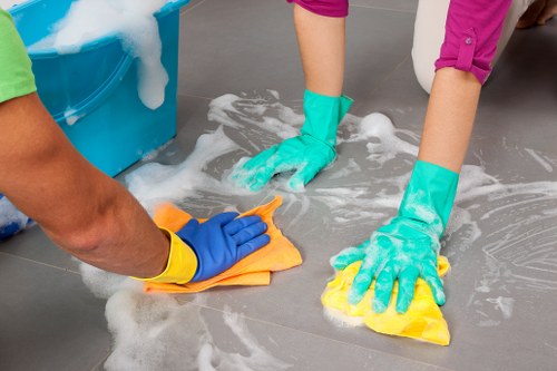Oven door glass and interior cleaning for a Soho property