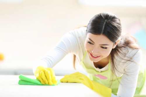 Regular domestic cleaning service for Soho residents