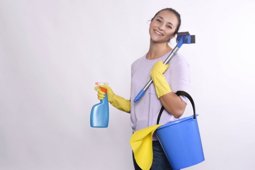 Governing law and contractual terms document for cleaning services
