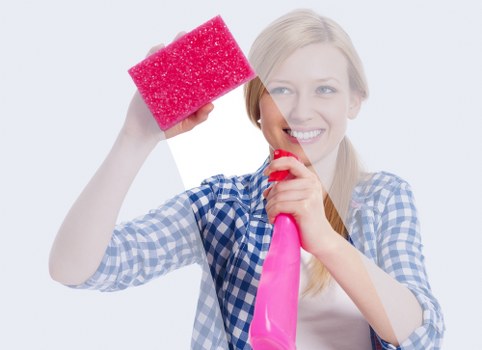 Deep cleaning a fabric sofa in a central London flat
